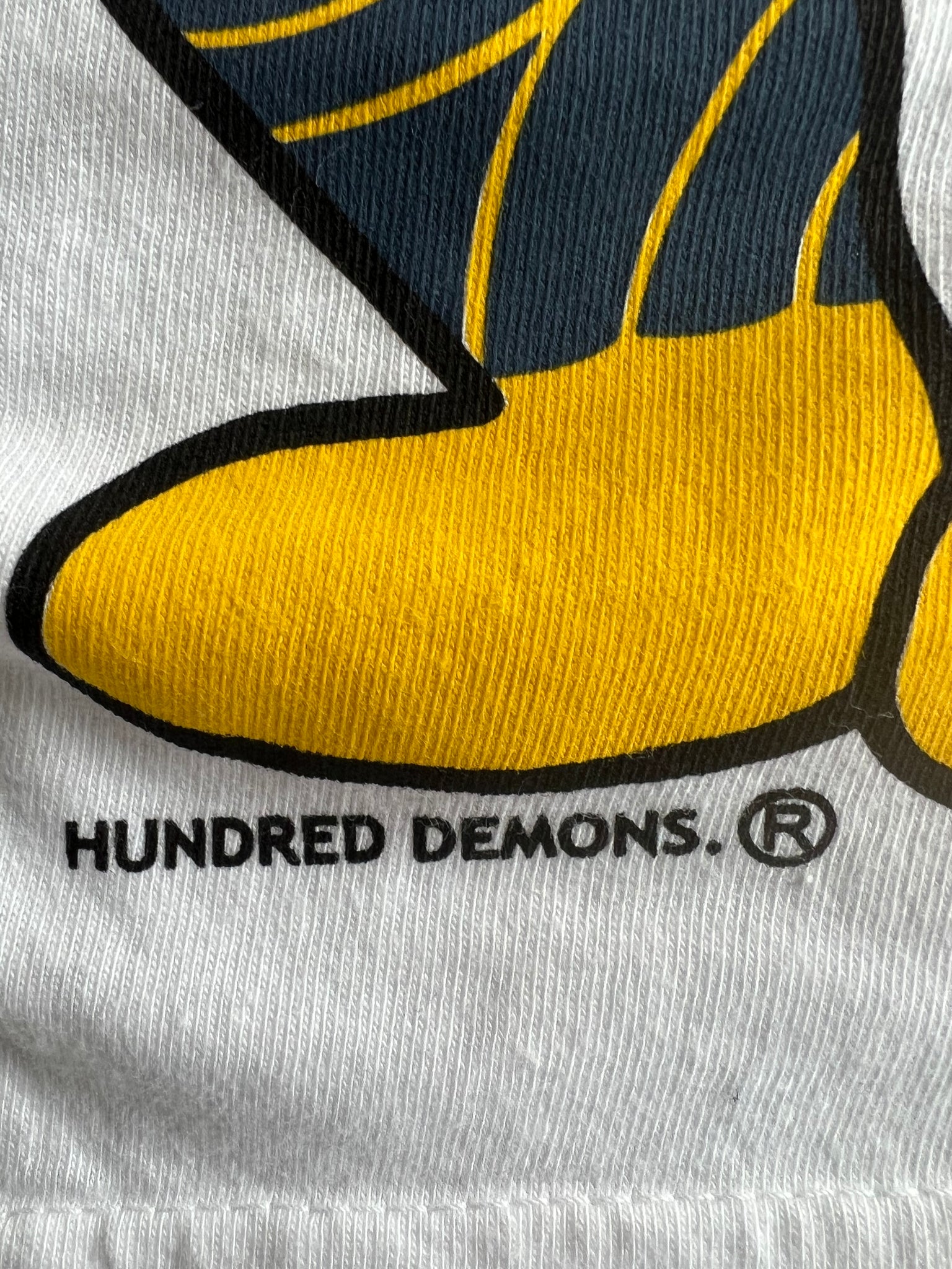Cink x Hundred Demons winnipeg tee